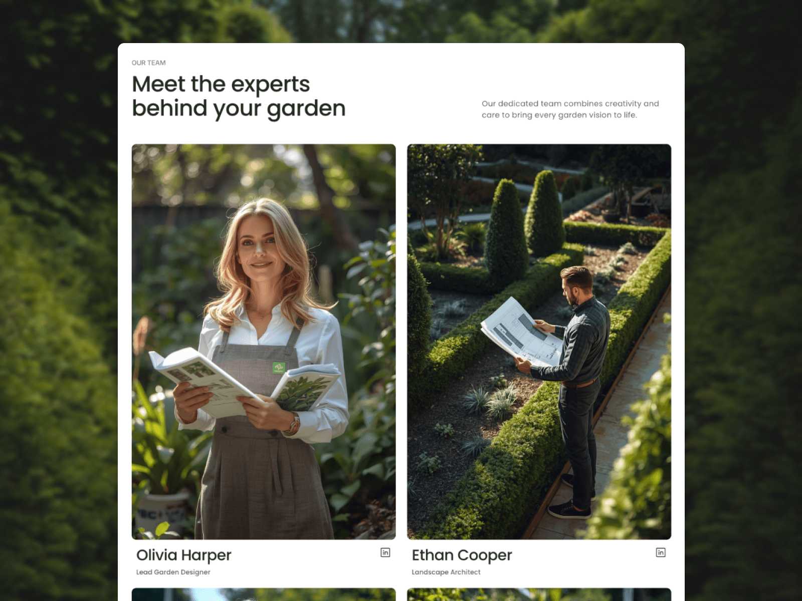 Grevia Gardening