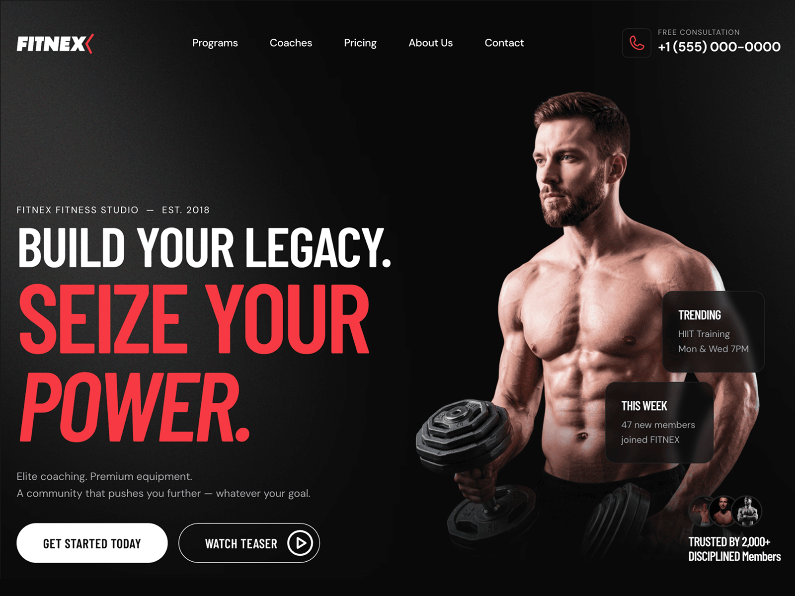 Fitnex Lite Gym