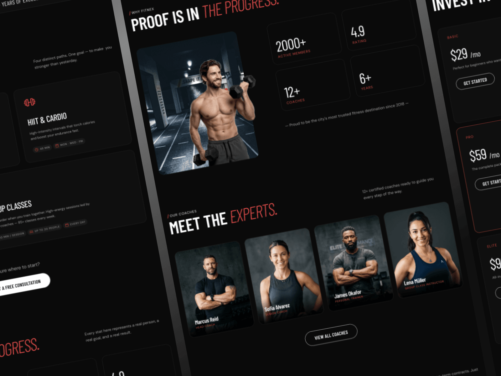 Fitnex Lite Gym