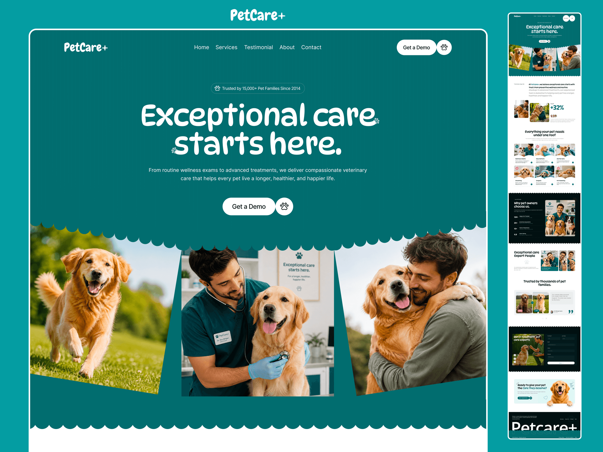PetCare Website