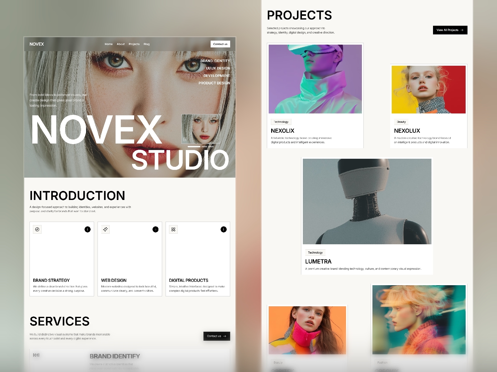 Novexstudio