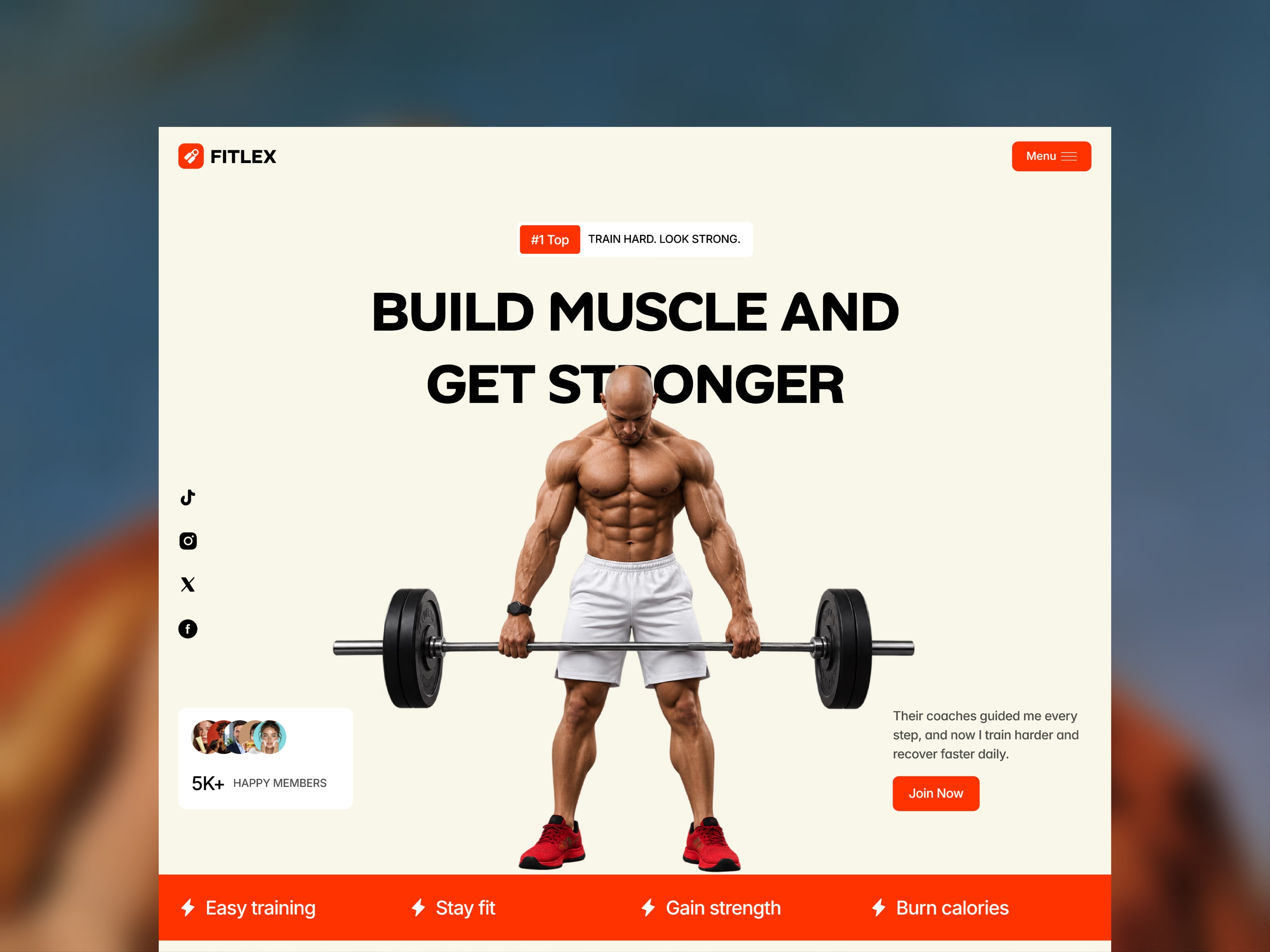 Fitlex