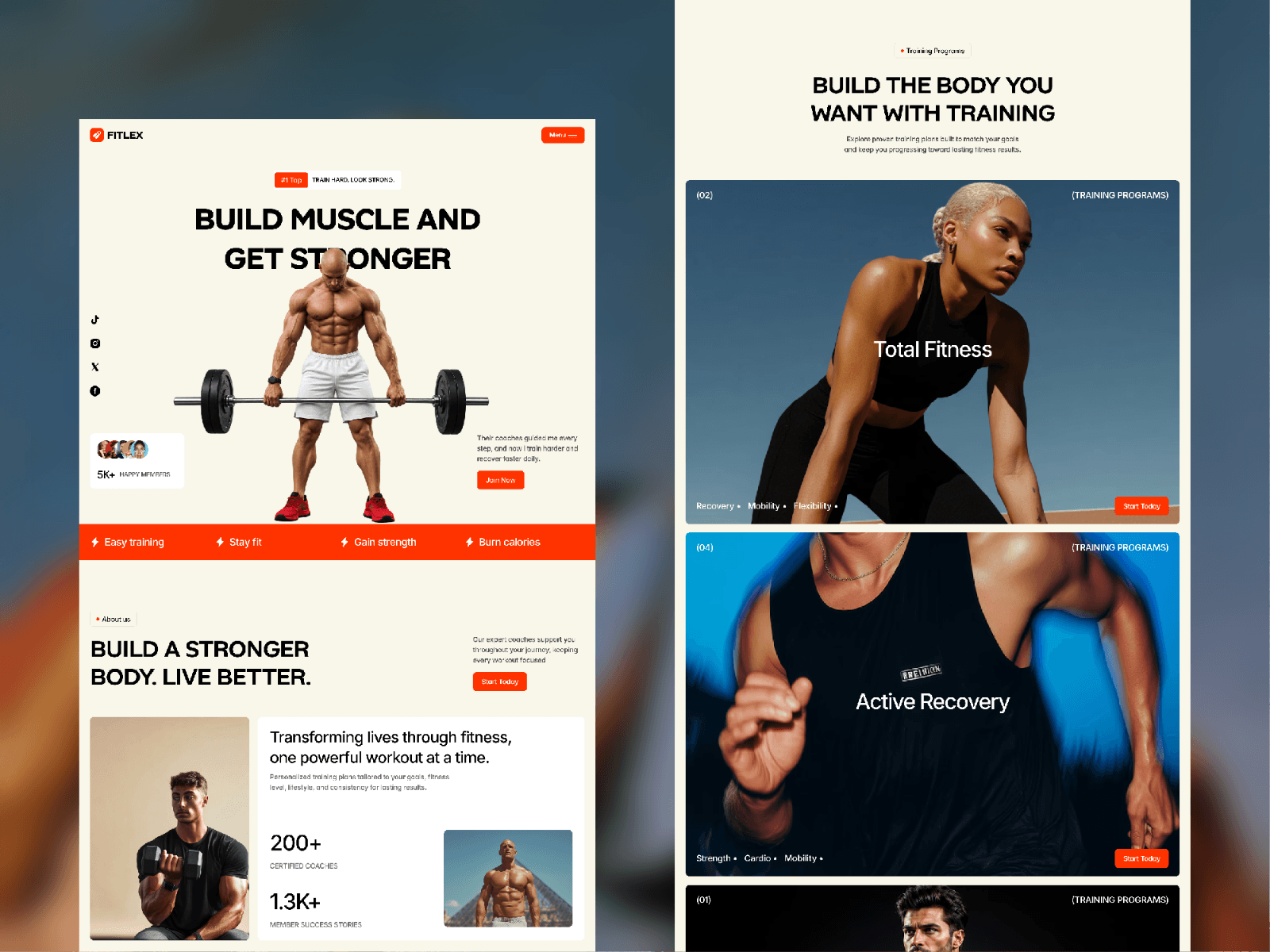 Fitlex