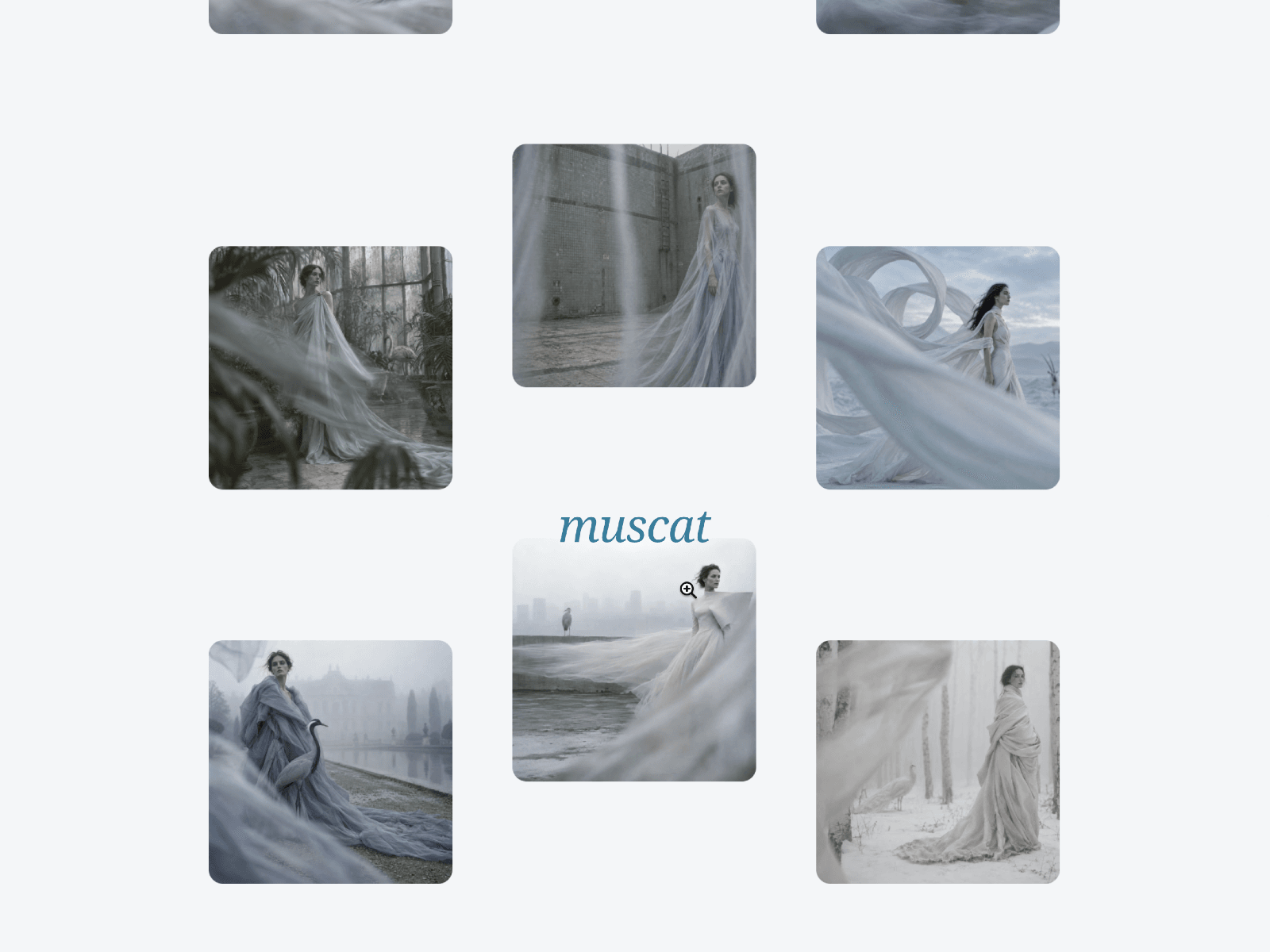 Muscat