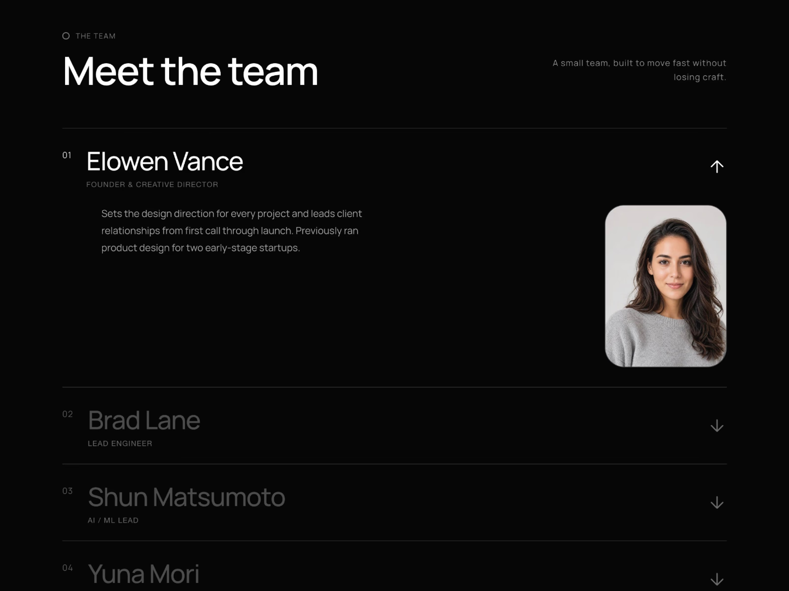 Team Section Pro