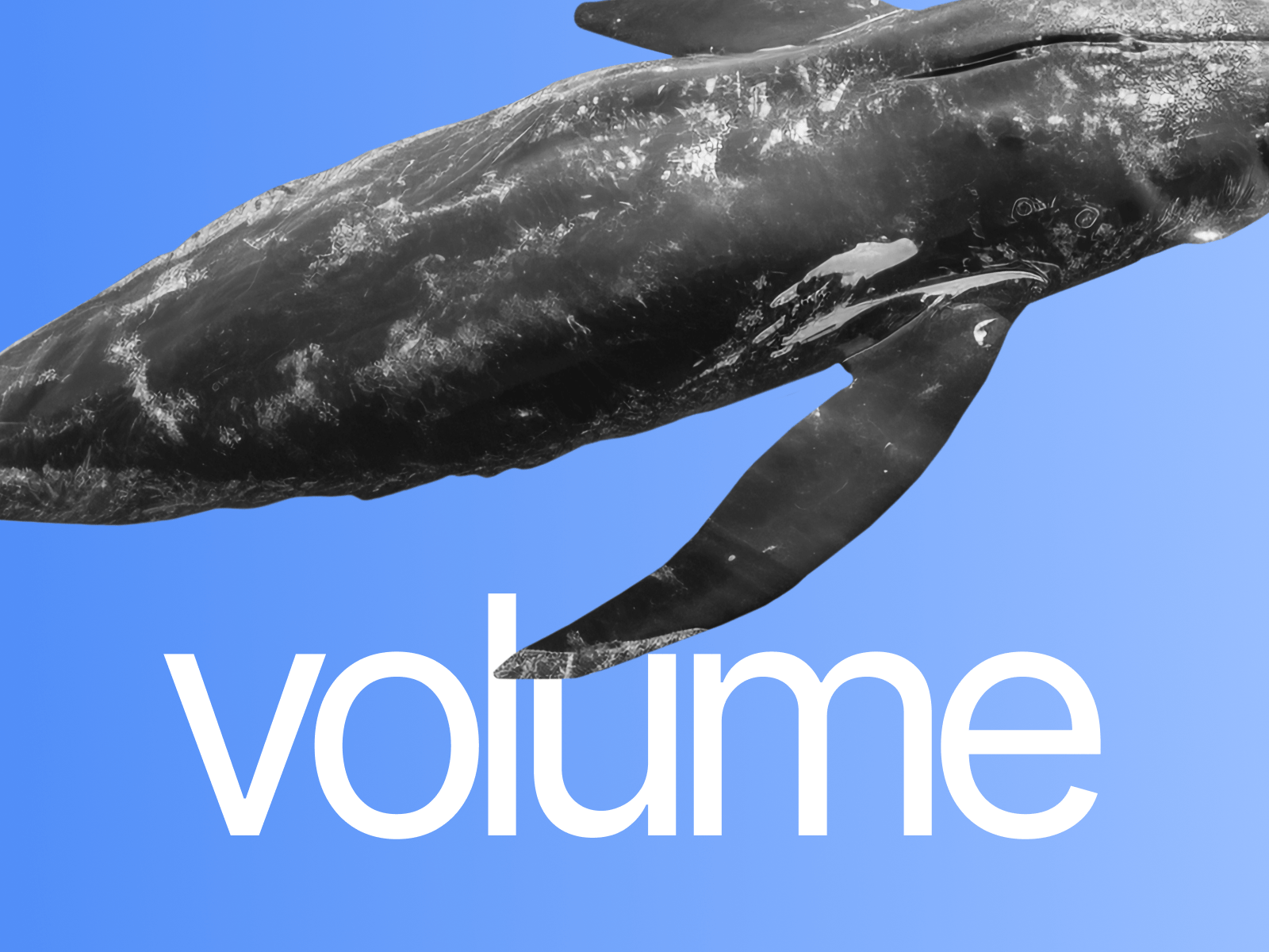VOLUM