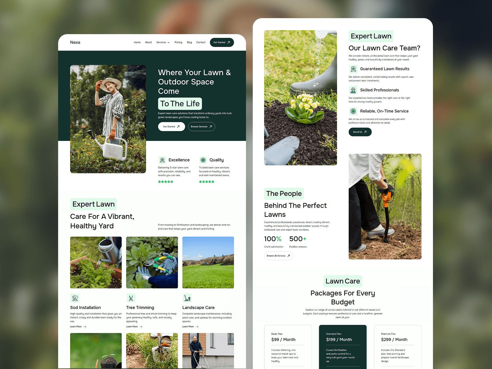 Nexa Lawn Care